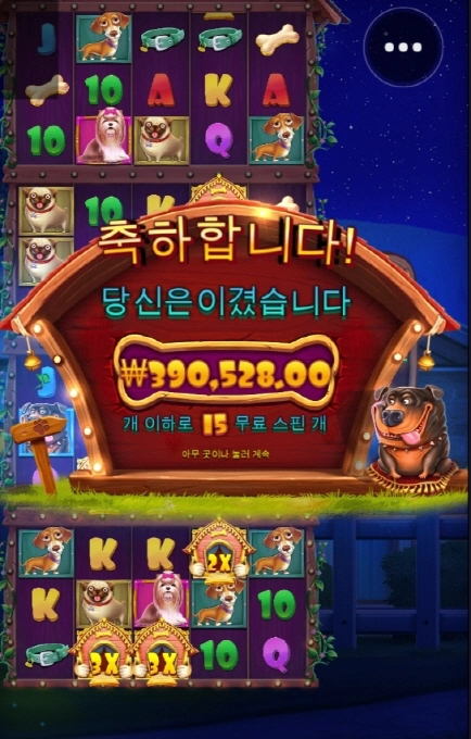 도그하우스 멀티홀드 개꿀