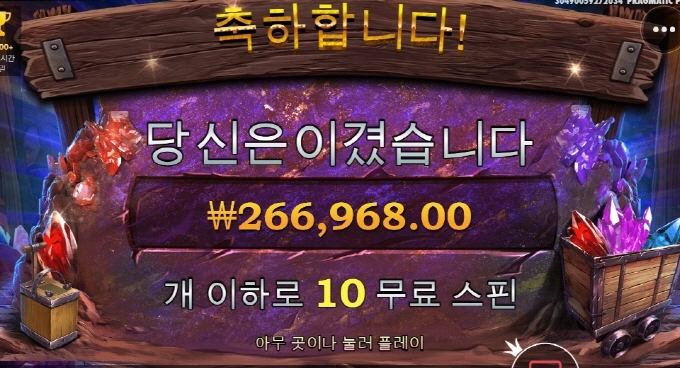 보난자 맛나게 먹고 마무리