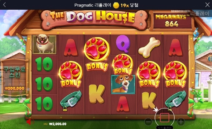 도그하우스 보너스 5발