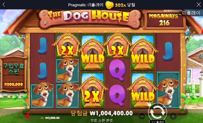 개집 502배 개달달하게 먹었습니다