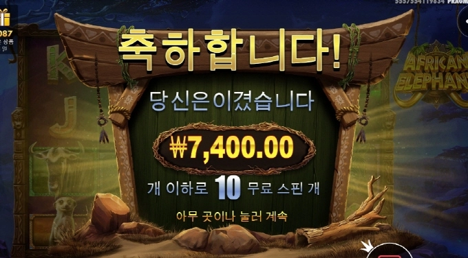 프라그마틱 아프리칸 엘리펀트 ㅅㅂ