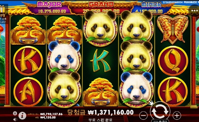 팬더는 사랑입니다 ㅅㅅ