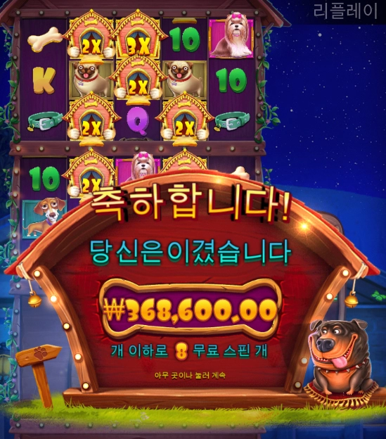 점심먹고 강아지 산책