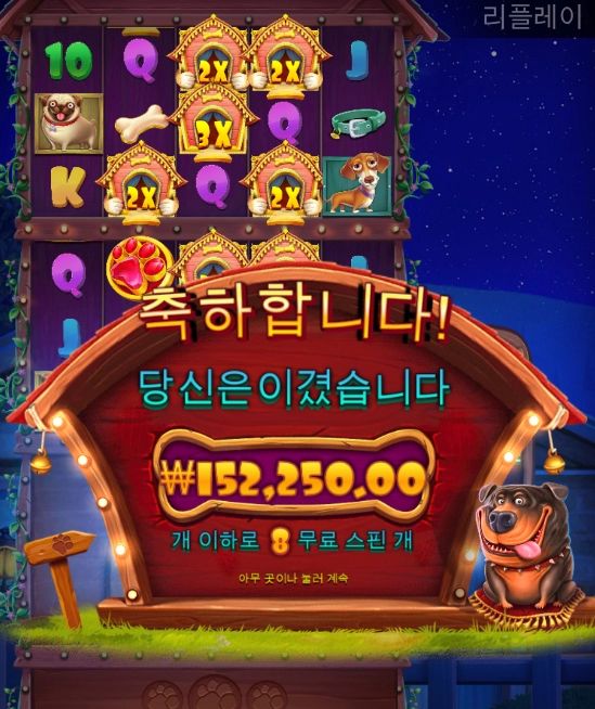 야밤에 강아지 산책