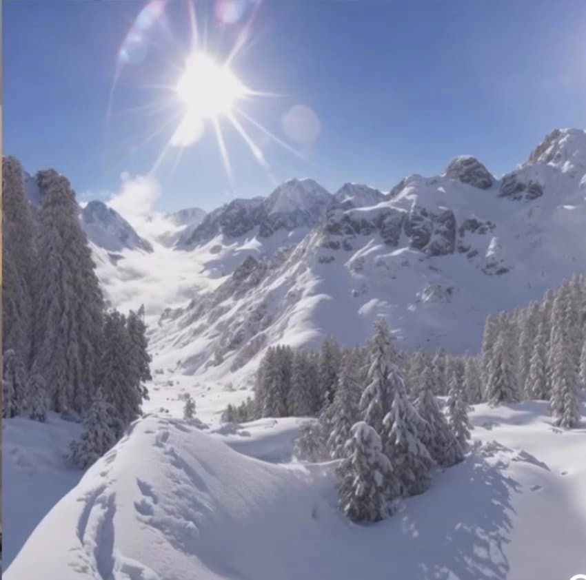유럽이 경악하고 독일이 벌벌 떠는 착시현상