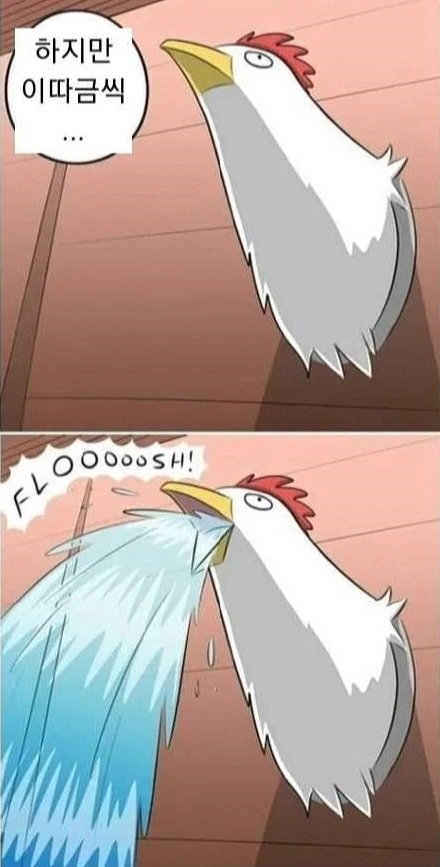 닭들이 신비감을 느끼는 만화