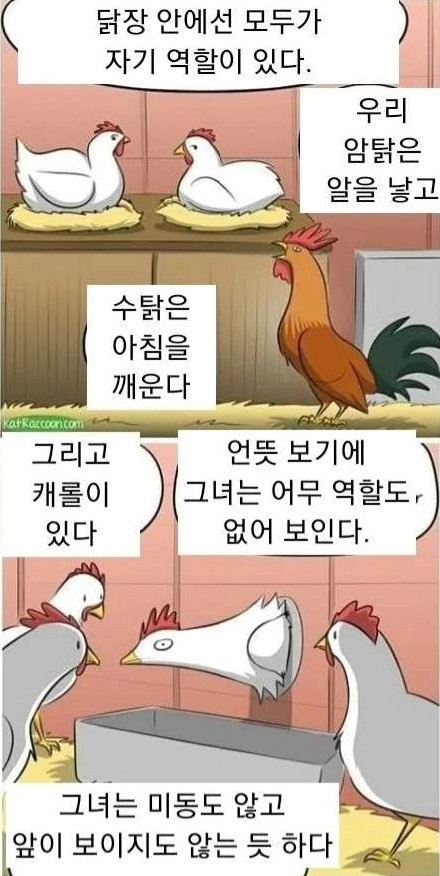 닭들이 신비감을 느끼는 만화