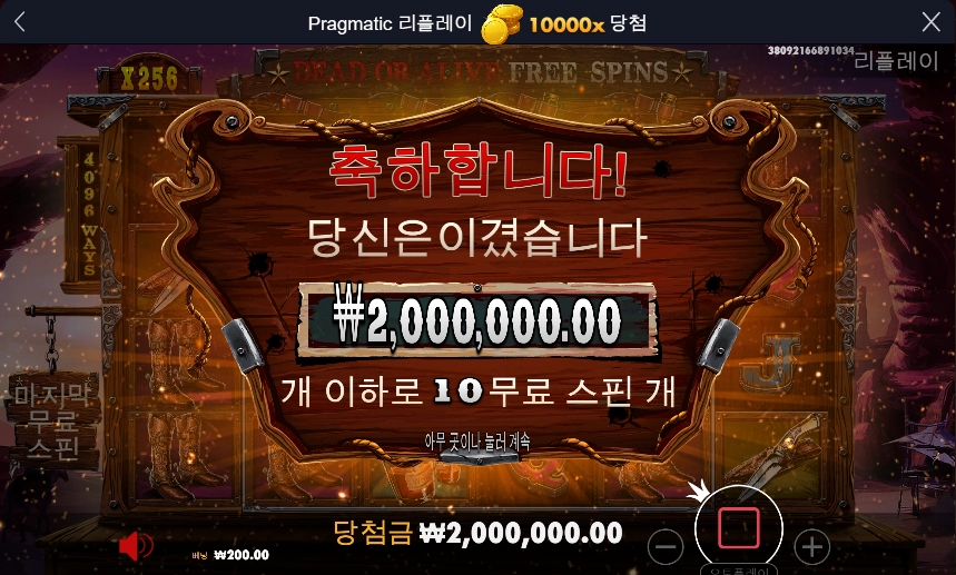 신규 슬롯게임 더와일드갱 맥스윈!! 10,000배 먹었습니다!!