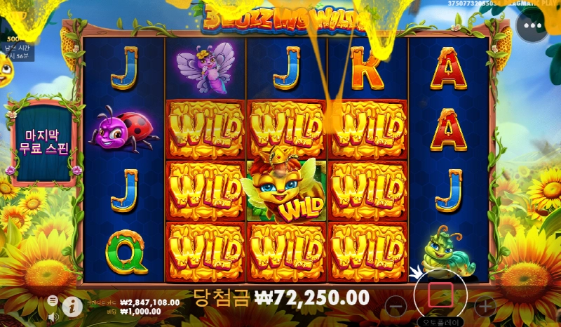 3버징와일드 와일드가 아깝다 아오