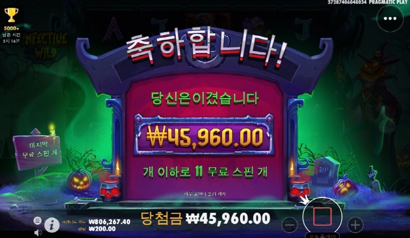 인펙티브와일드 호박좀 마이다오