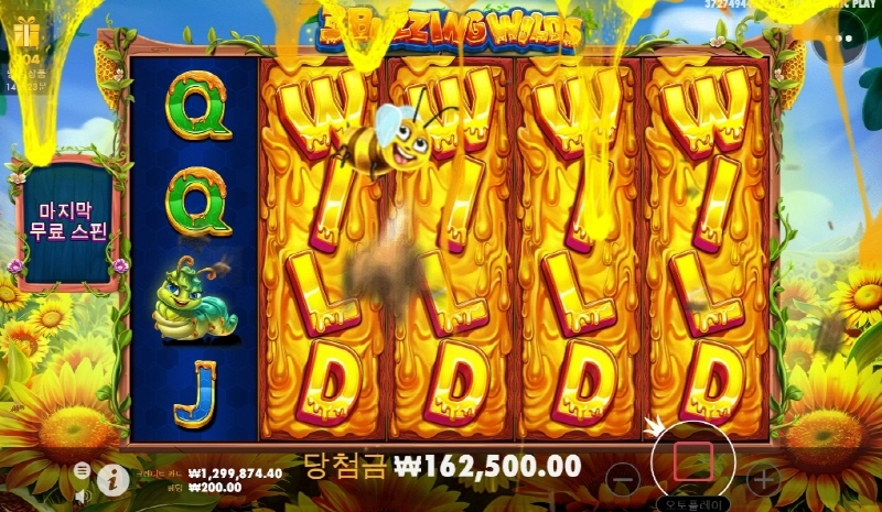 3버징와일드 800배 왜 지금 터지냐고 ㅠㅠ