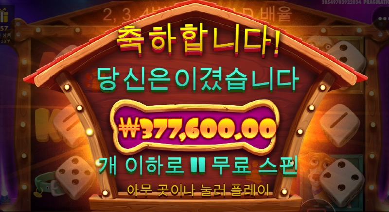 개집 주사위 ㅅㅅ