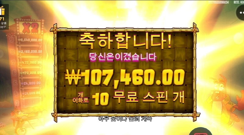 랍스터 밥그레이 고배당이 안터지네