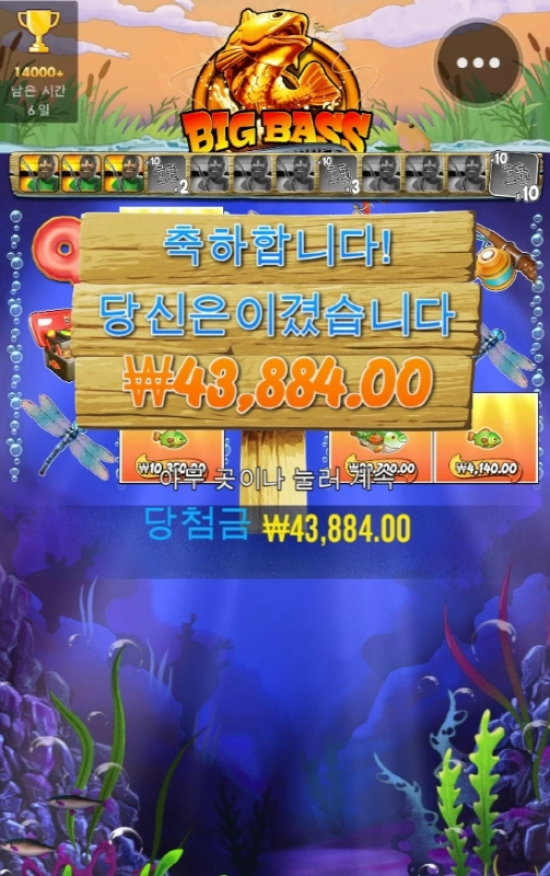 빅배스 아침 출조