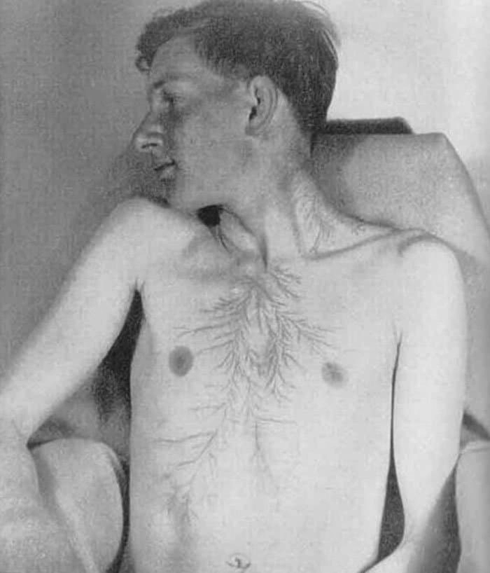 강함을 상징하는 진정한 문신