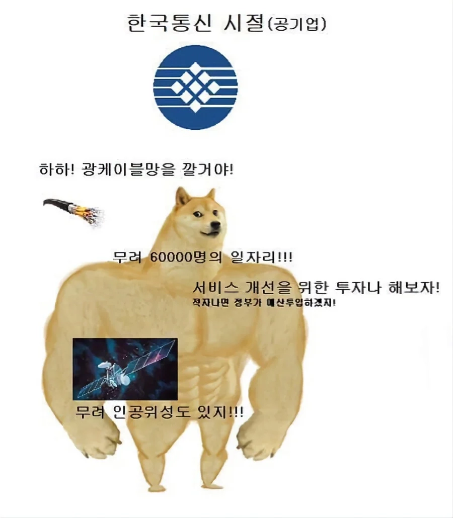 민영화 하면 안되는 이유