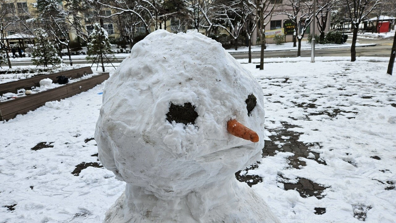 당근으로 만든 코가 X지 같았던 눈사람 근황
