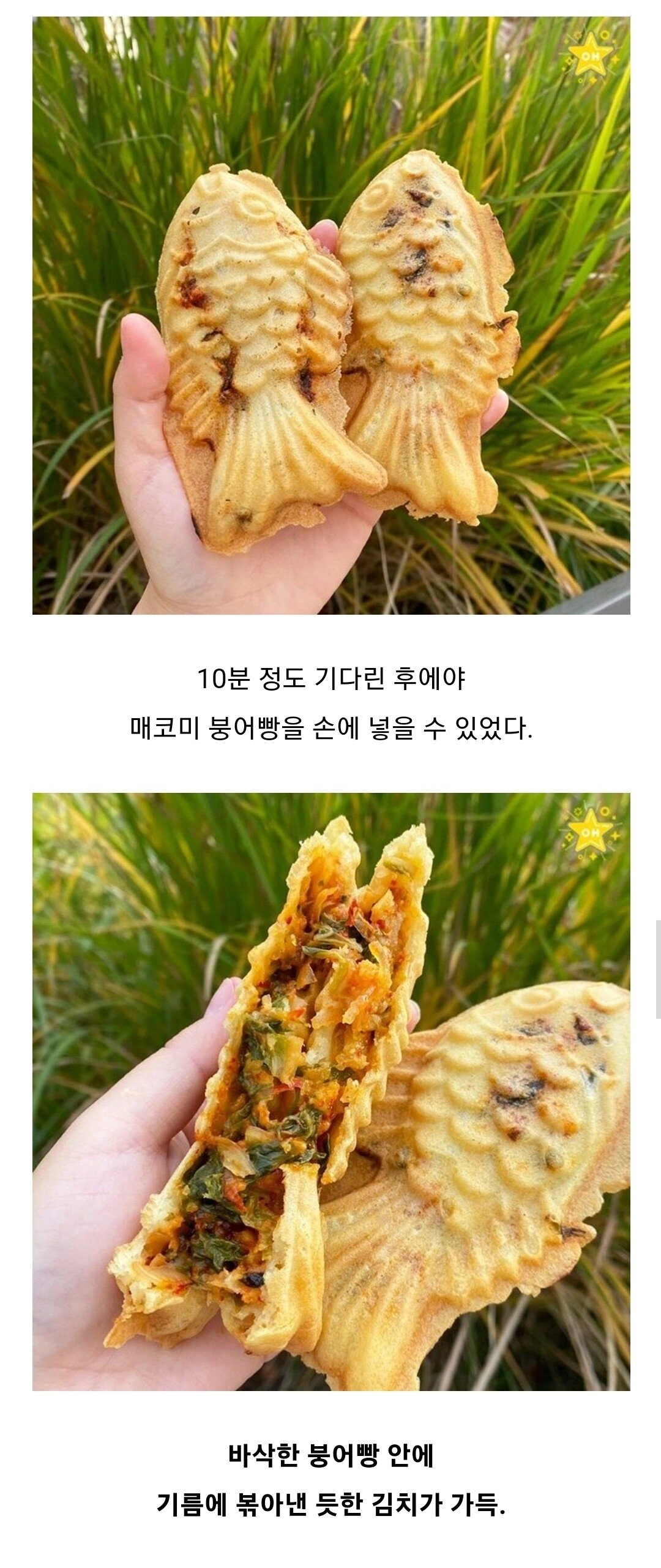 한국인인이라면 김치지! 겨울엔 붕어빵이지!