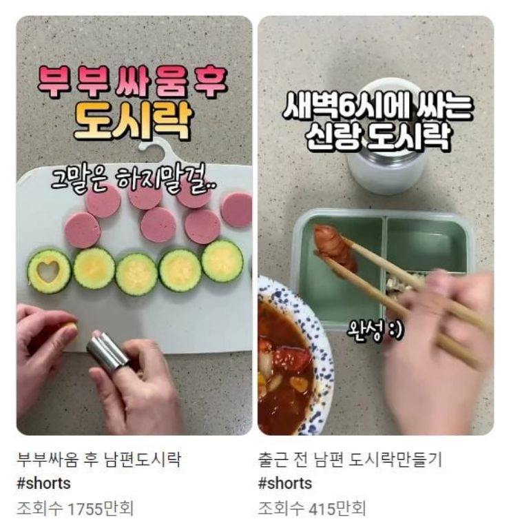 남편 도시락 싸주는 주부 유튜버에게 욕하는 페미들