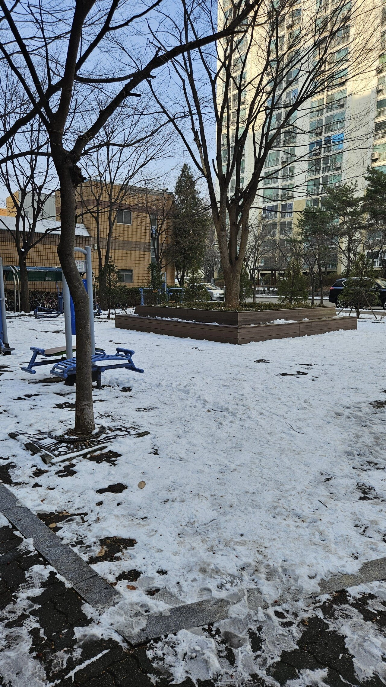 당근으로 만든 코가 X지 같았던 눈사람 근황