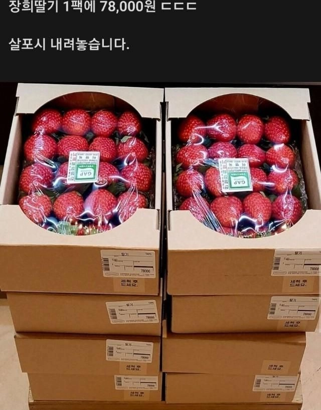 백화점 딸기 가격