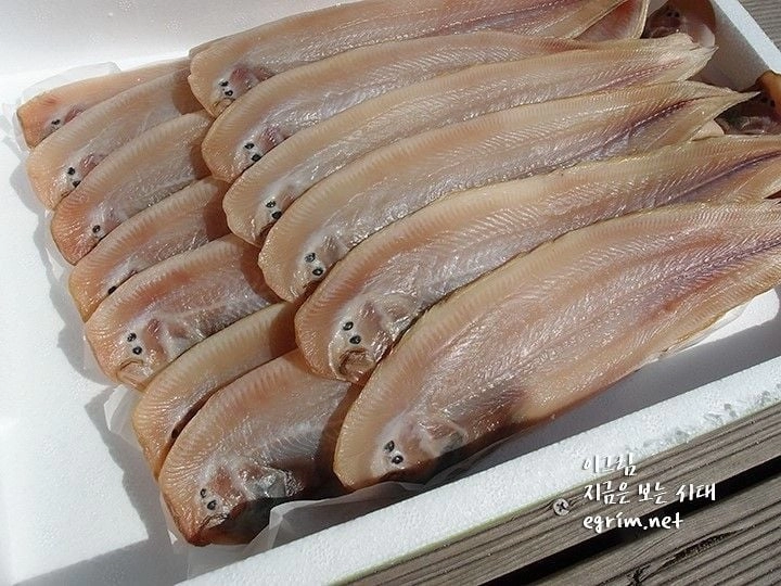 너무 성의없는 지자체 마스코트