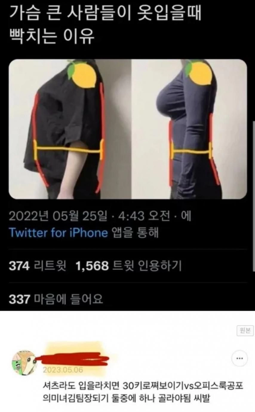 가슴 큰 여자들이 박시한 옷 안입는 이유