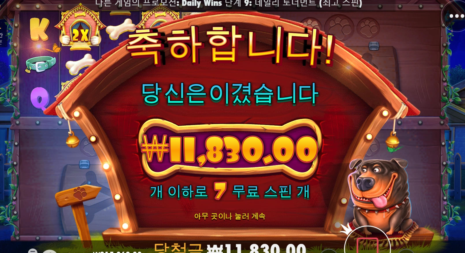 개집은 이제 안하는게 답