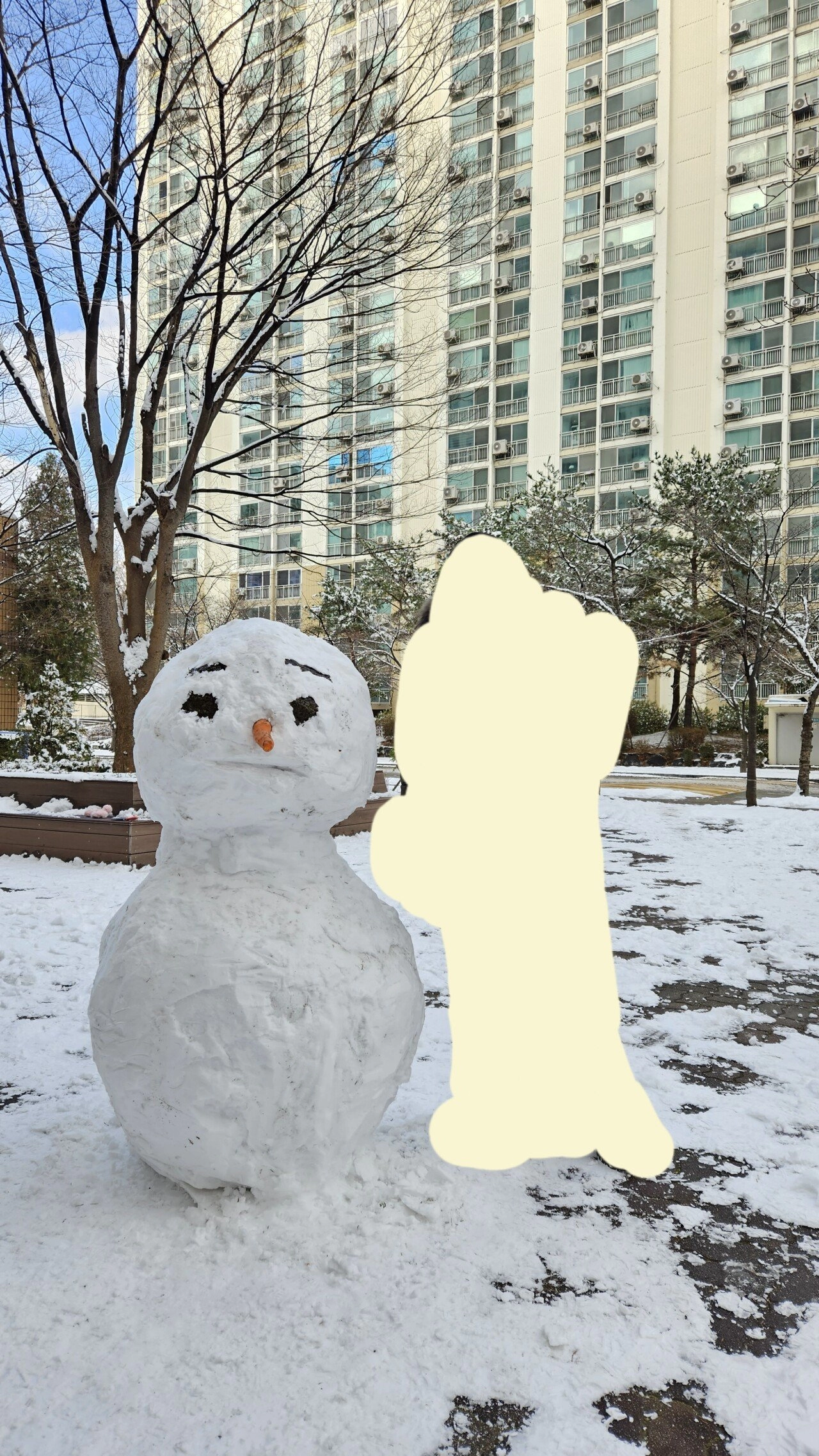 당근으로 만든 코가 X지 같았던 눈사람 근황