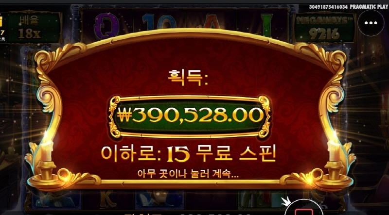 캐롤메가 좀 챙겨줌