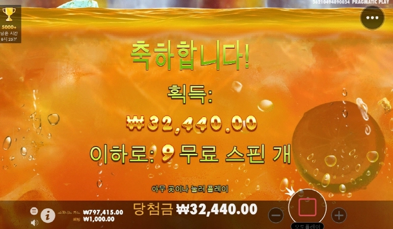 쥬시 드럽게 안주네