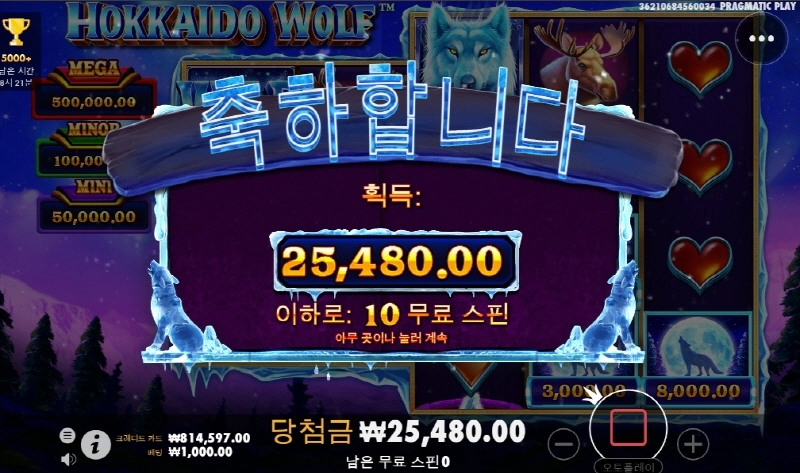 나의 슬롯 복구게임 홋카이도 울프
