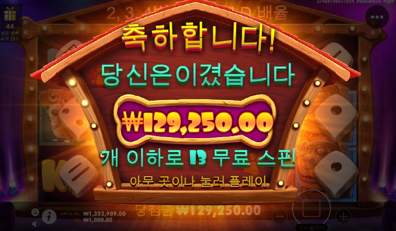 도그하우스 다이스 보너스 진입 좋고