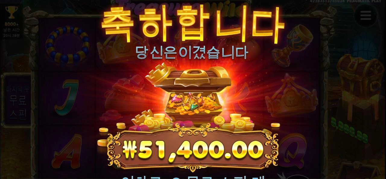 트레져 와일드 코인금액 아쉽네