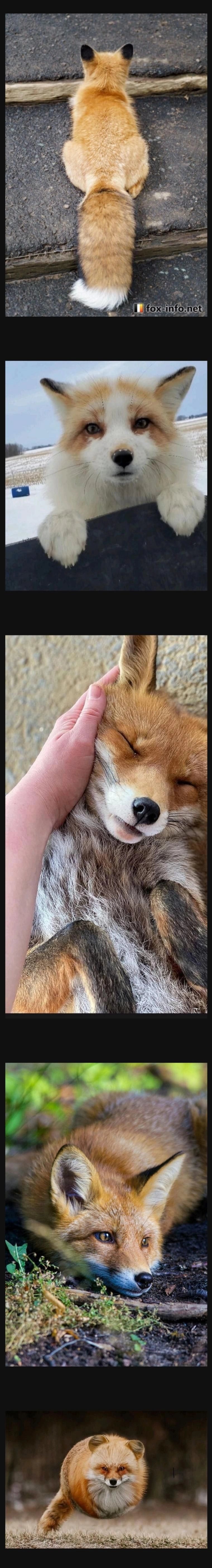 당신을 홀려보겠습니다