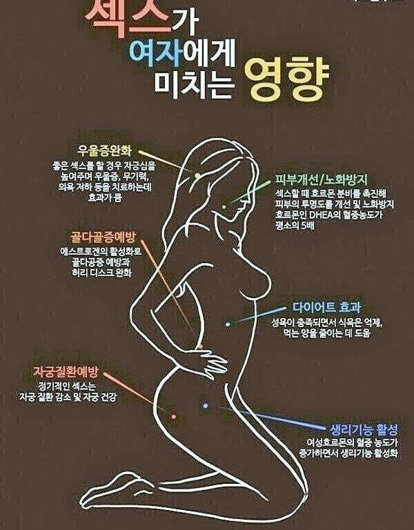 ㅅㅅ가 미치는 영향