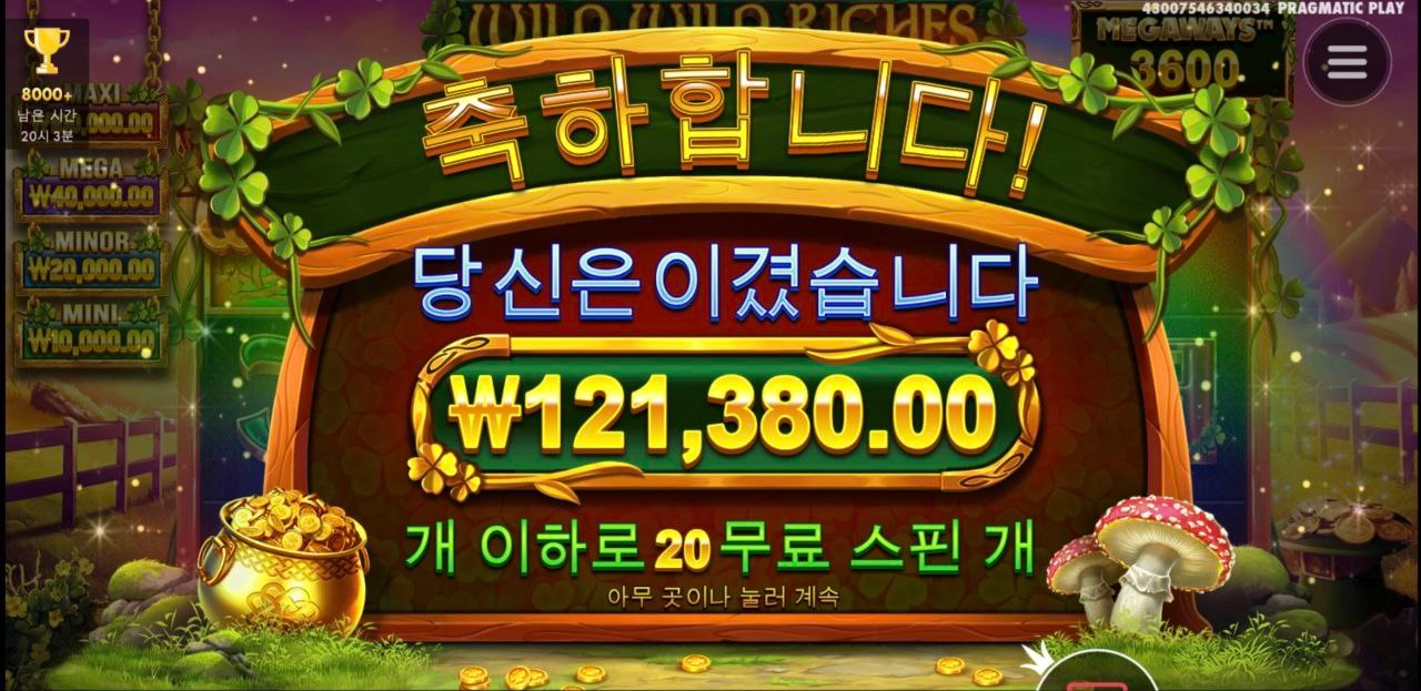 와일드 리치스 한방에 풀스핀 300배당