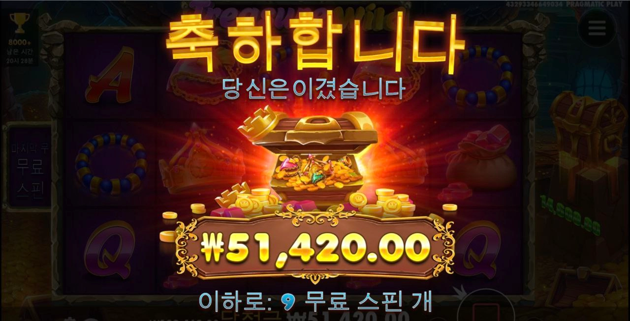 바닥보나스 트레져와일드