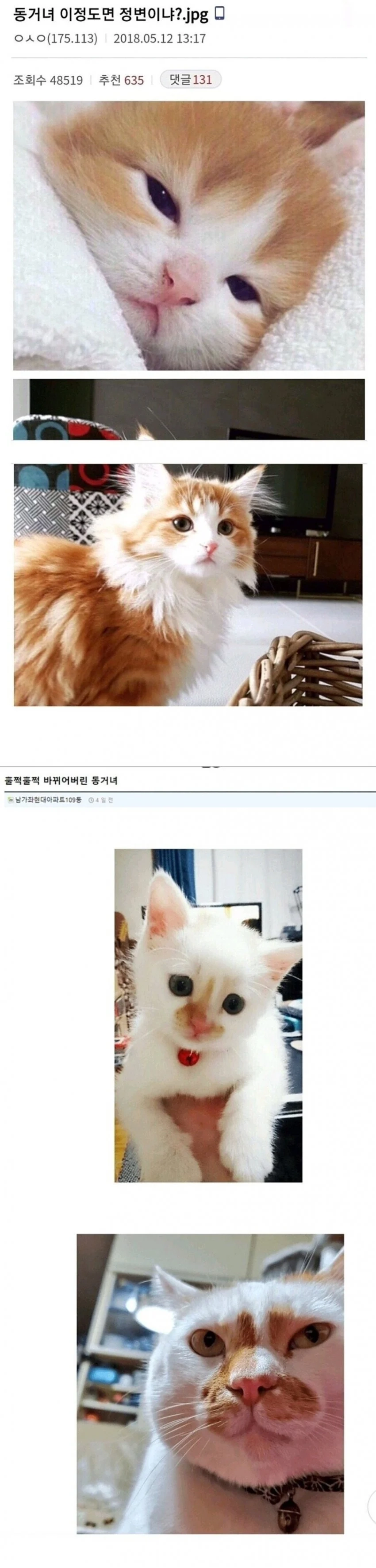 동거녀 퓰리쳐상