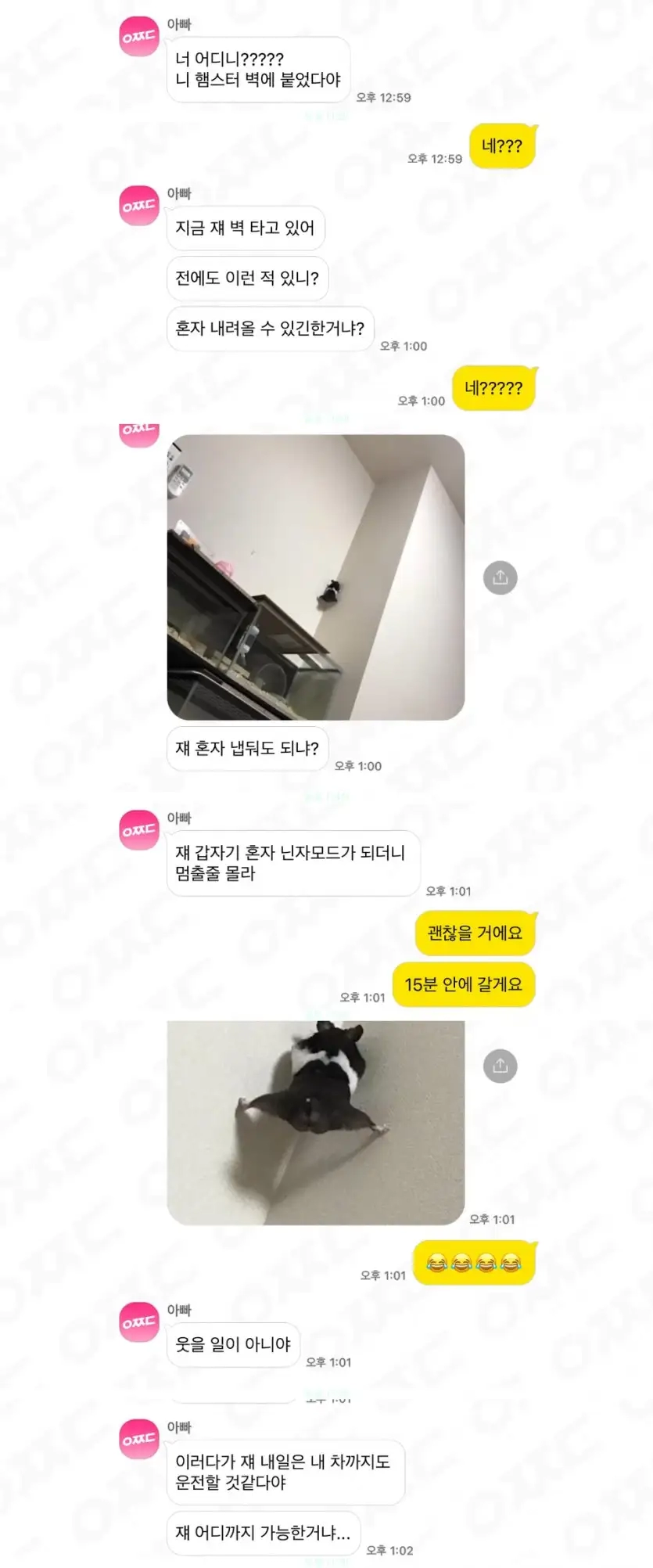 살짝 당황하신 아부지