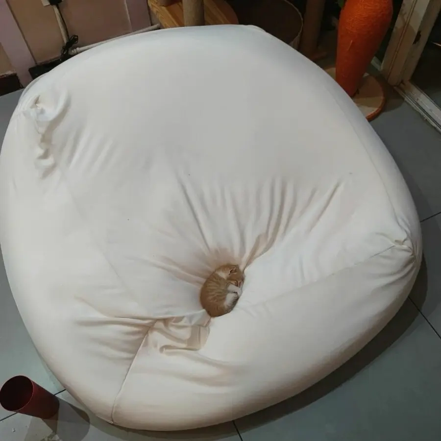 방석이 너무 크다