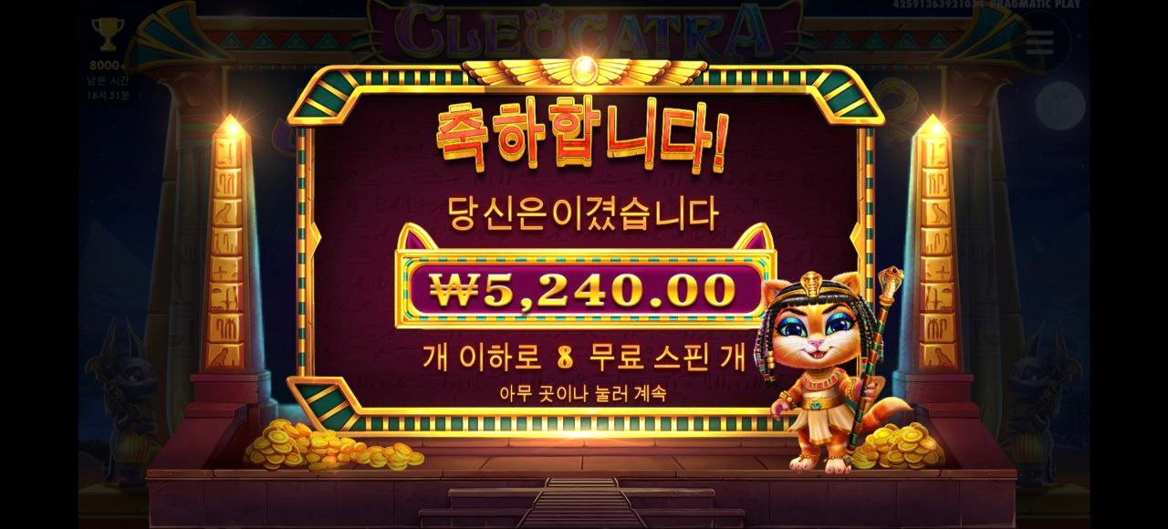 요즘 내가 자주가는 냥트라