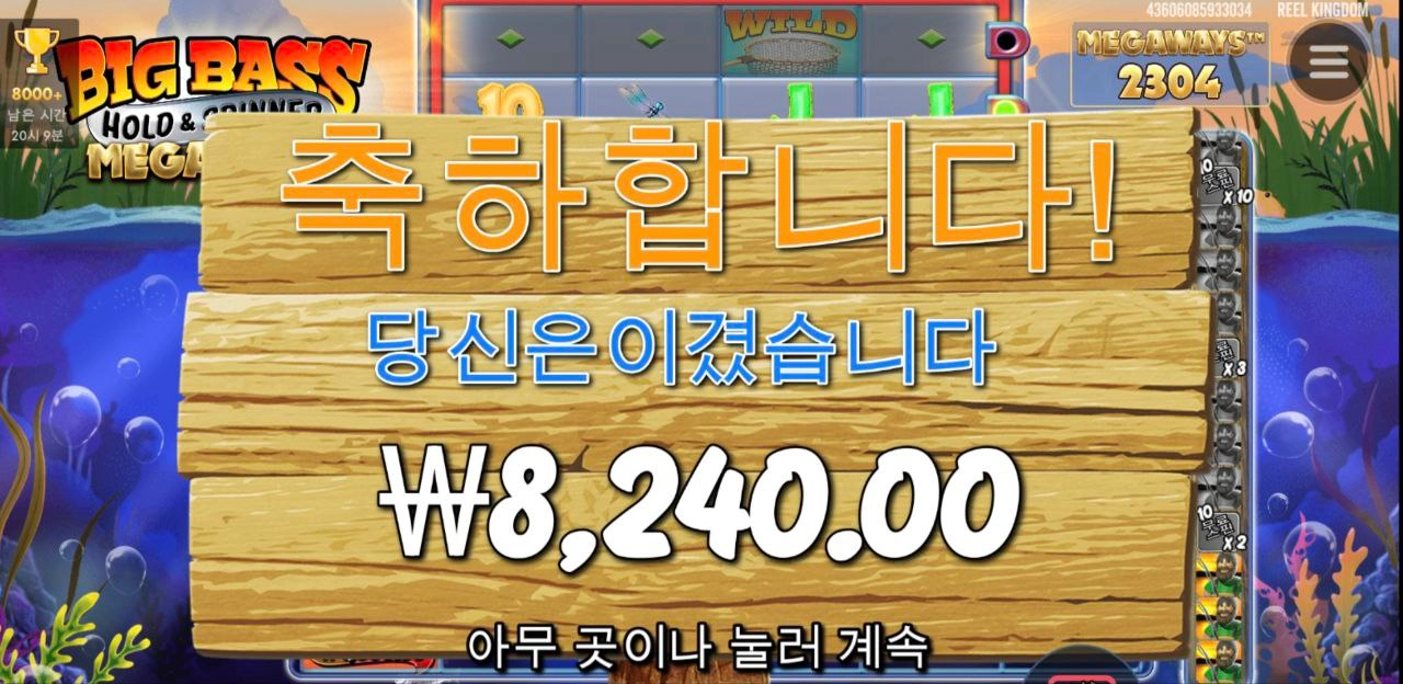 빅베스야 정신차려