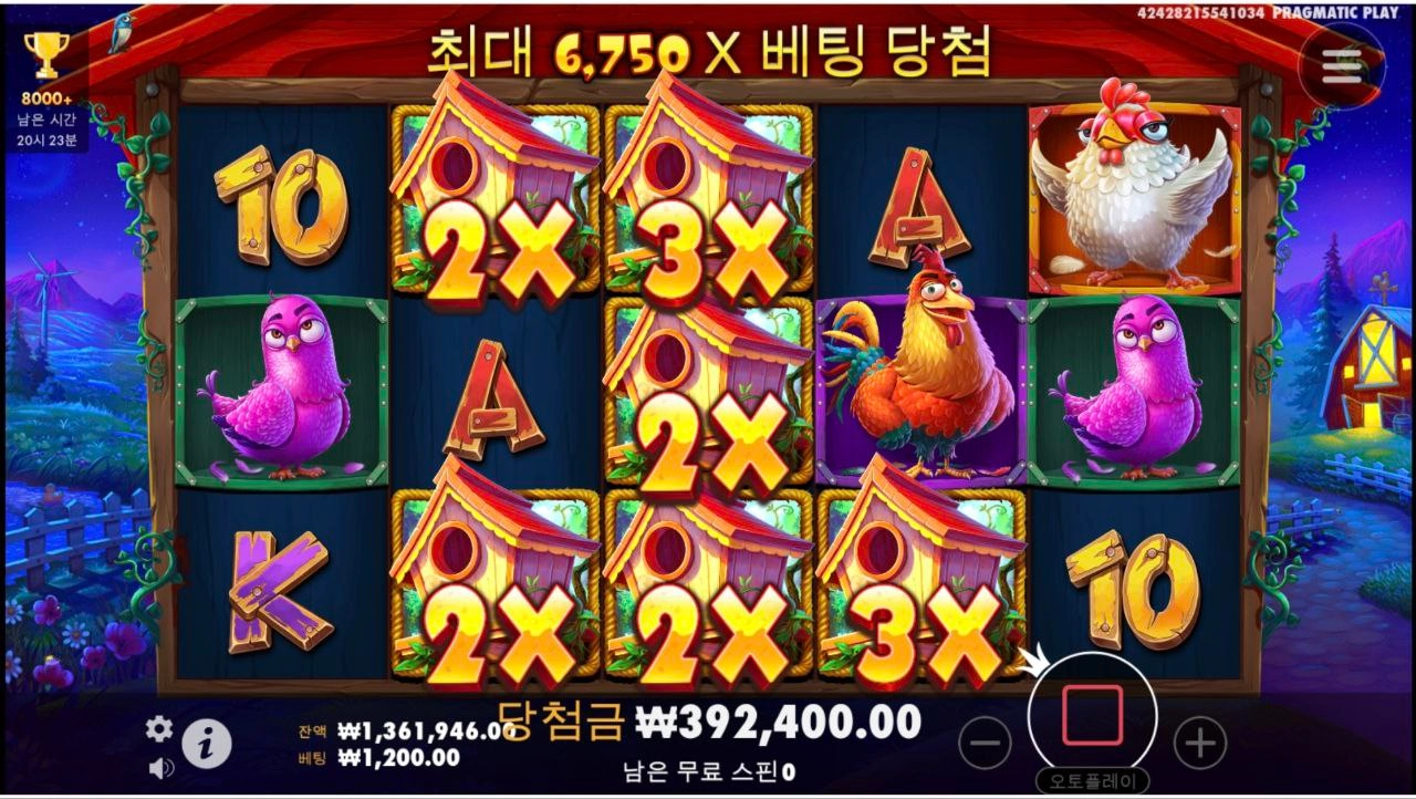 닭집 이렇게 와일드 예쁘게 깔아줬는데