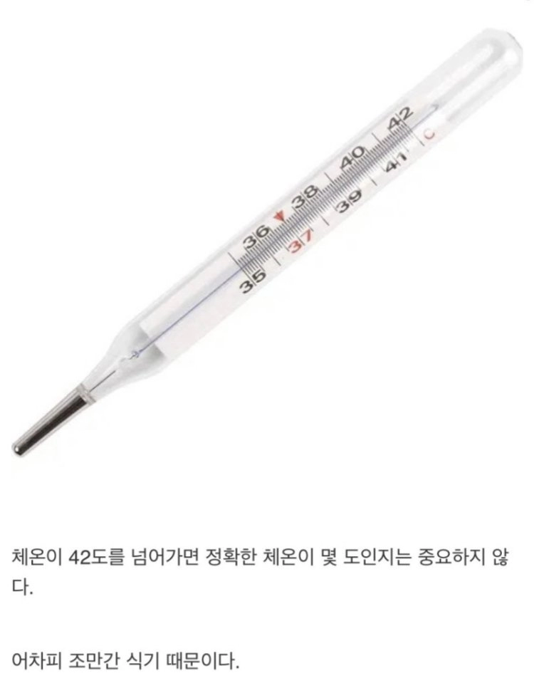 체온계가 42도 밖에 못재는 이유