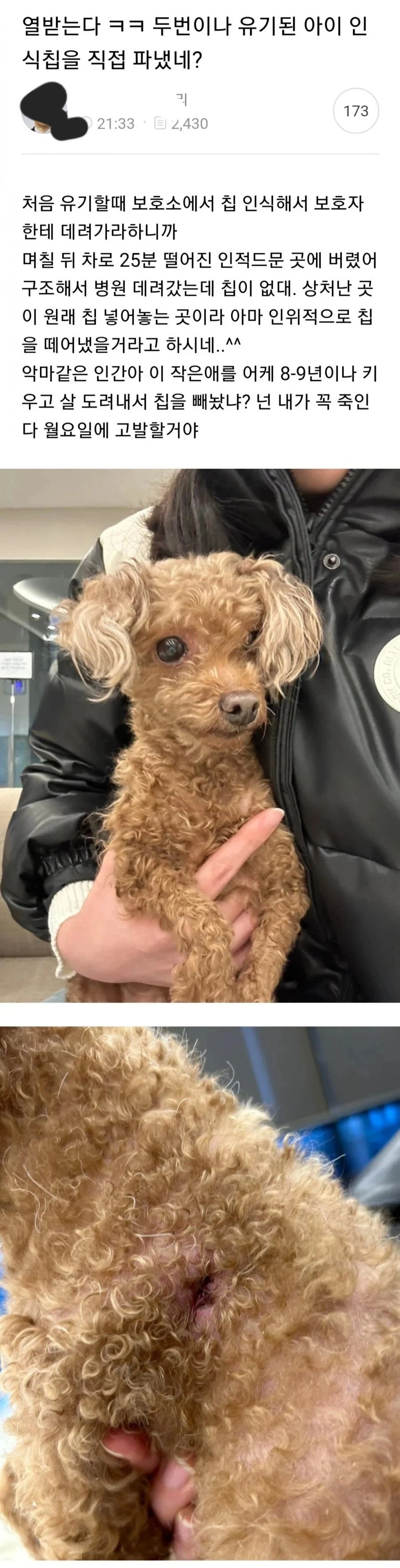 역대급 강아지 유기사건