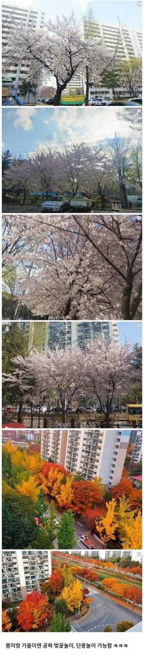 지은지 오래된 아파트 단지 특징