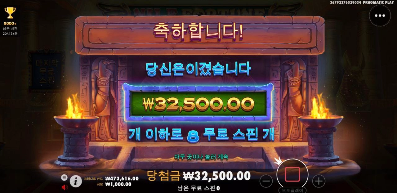 나일 포춘 행운 안주는데