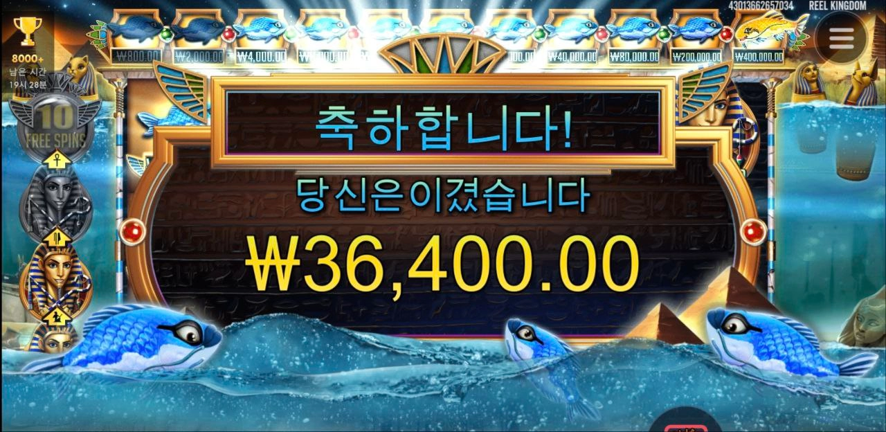 피씨아이 파라오 다 어디갔어