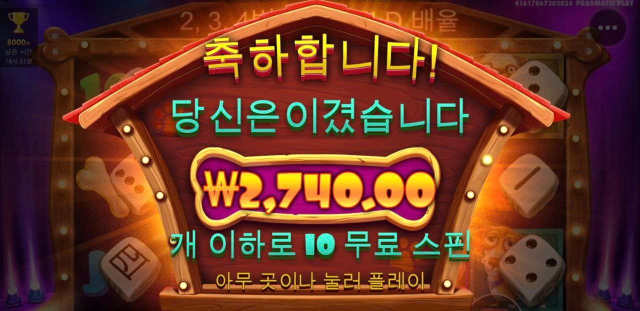 개집 다이스 눈아프네